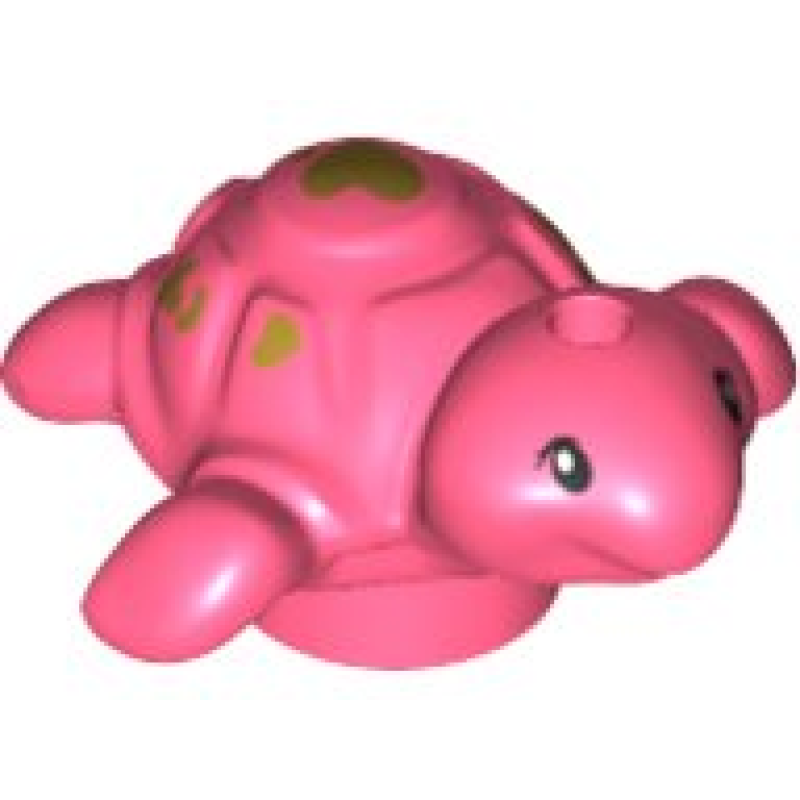 Schildpad, Baby Coral